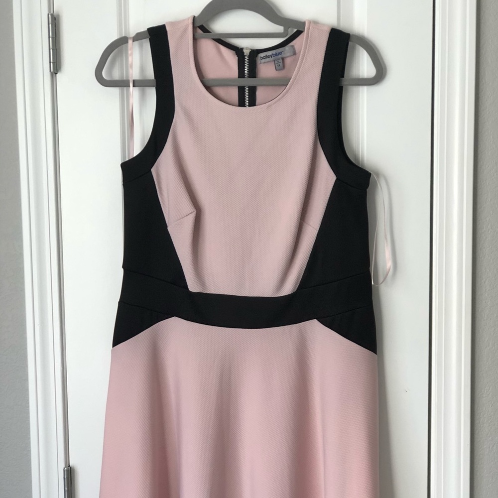 A-line Blush and black skater dress